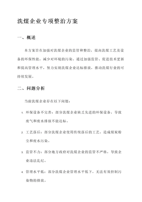 洗煤企业专项整治方案