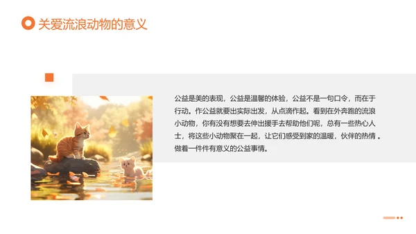 关爱流浪动物，流浪猫PPT模版
