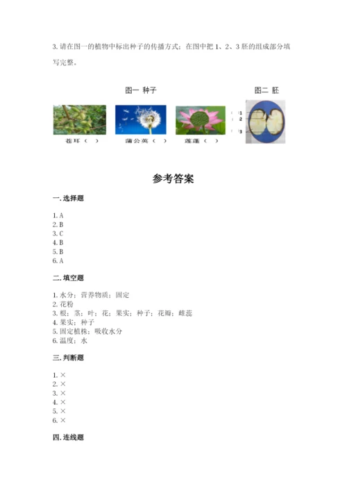 教科版科学四年级下册第一单元《植物的生长变化》测试卷【考点梳理】.docx