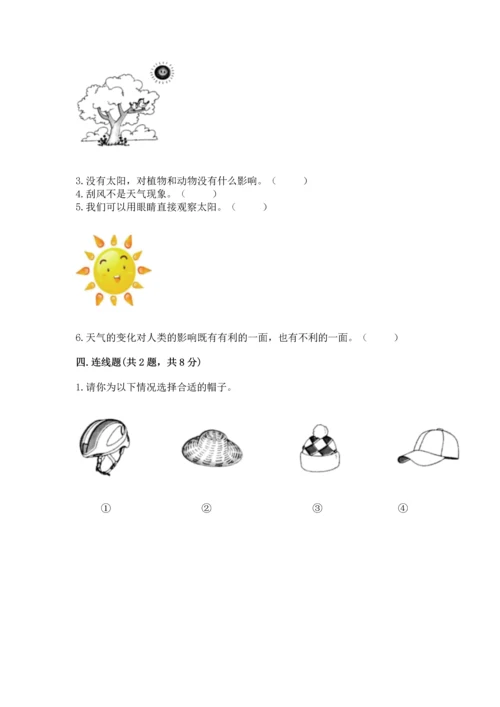 教科版科学二年级上册《期末测试卷》带答案（新）.docx