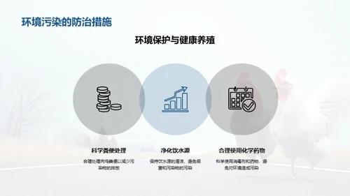 肉鸡养殖现代技术解析