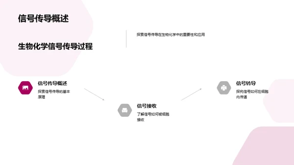 生物化学与医学纽带