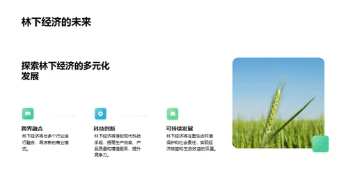 林下经济探析