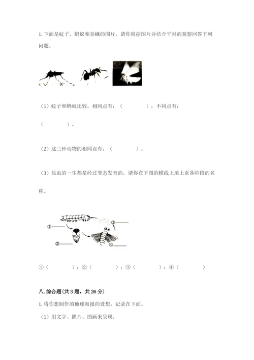 教科版科学三年级下册期末测试卷及参考答案【考试直接用】.docx