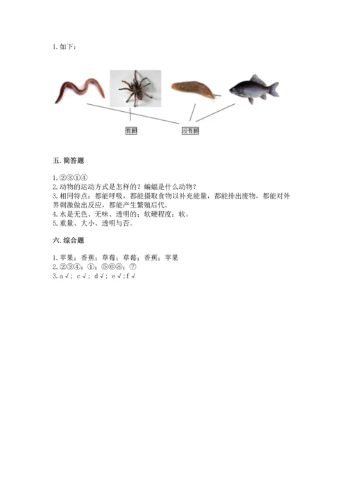 教科版一年级下册科学期末测试卷（综合卷）.docx