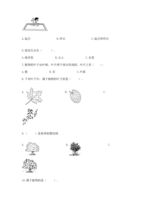 教科版一年级上册科学期末测试卷附参考答案（研优卷）.docx