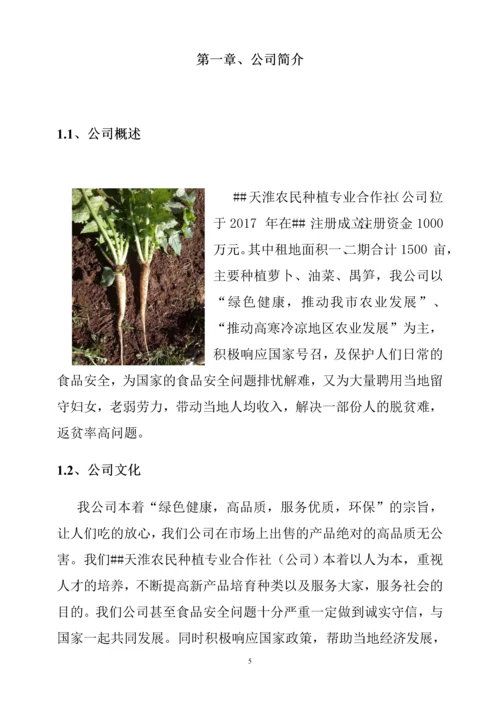 天淮农民种植专业合作社商务计划书.docx