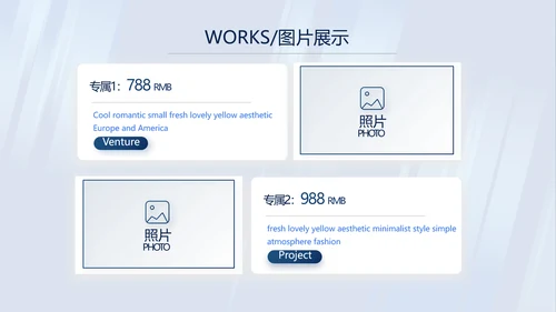蓝色公司简介企业宣传工作总结PPT