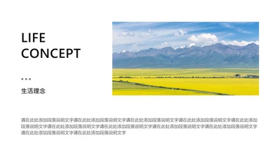 简约风并列关系1项PPT图文页