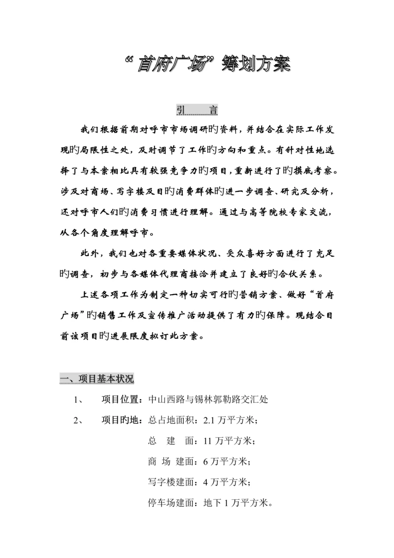 地区专项项目专题策划专题方案.docx