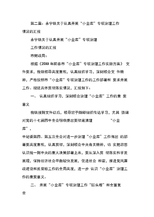 县“小金库”专项治理工作情况汇报