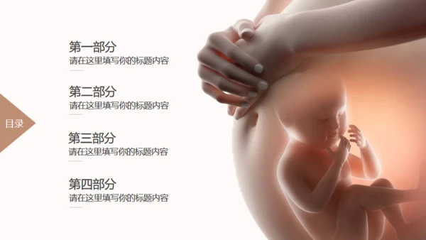 新生儿孕期准妈妈胎教母婴产科服务通用PPT模板