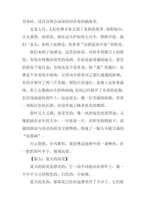 夏天的荷花作文200字.docx