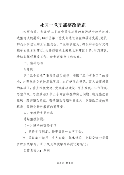 社区一党支部整改措施.docx