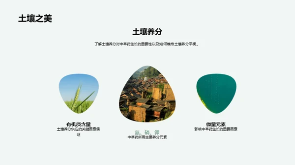 中草药种植全攻略