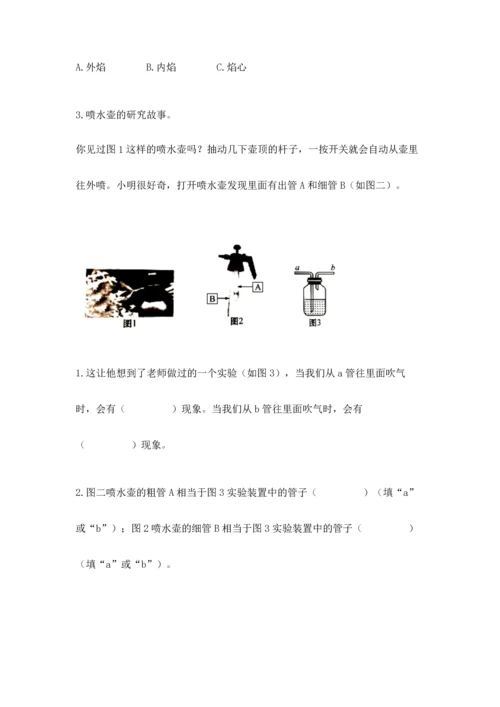 教科版三年级上册科学《期末测试卷》（实用）word版.docx