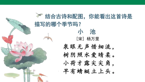 11古诗二首 小池  课件