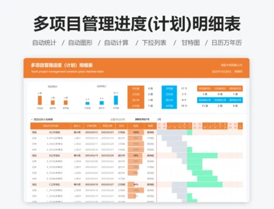 多项目管理进度（计划）明细表