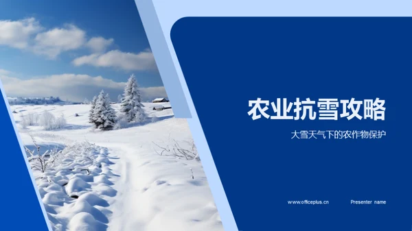 农业抗雪攻略