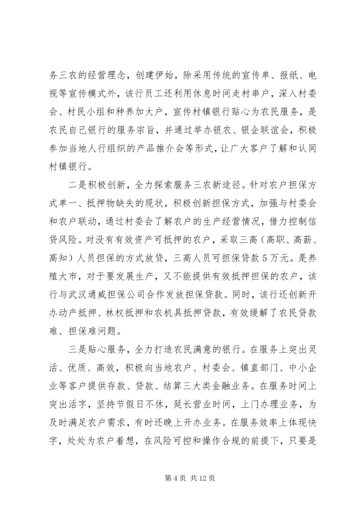 村镇银行年终总结及计划范例.docx