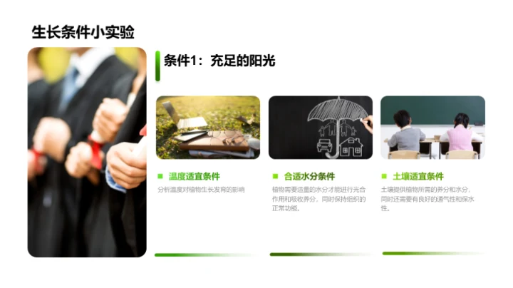 探索植物的奥秘