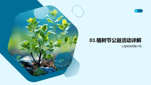 植树环保：公益新行动