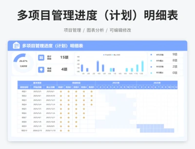 多项目管理进度（计划）明细表