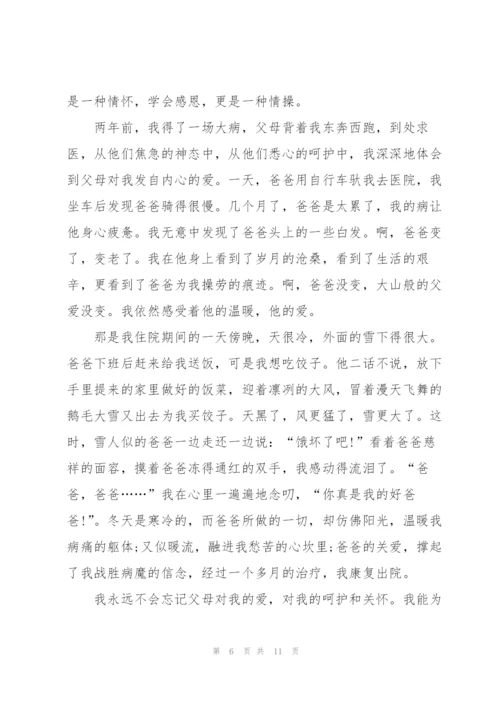 重阳节感恩优秀演讲稿5篇.docx