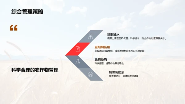 小暑气候与农业管理