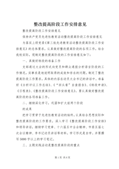 整改提高阶段工作安排意见 (3).docx