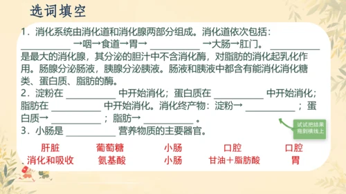 初中生物学人教版（新课程标准）七年级下册第4.2.2 消化和吸收课件(共21张PPT)