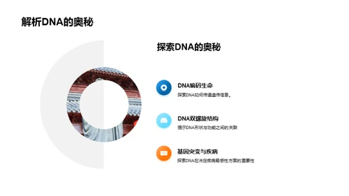 DNA：揭示生命奥秘