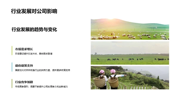 20XX年林业盘点与展望