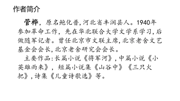 19《小英雄雨来（节选）》课件