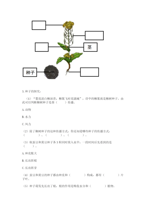 科学四年级下册第一单元《植物的生长变化》测试卷及完整答案【考点梳理】.docx