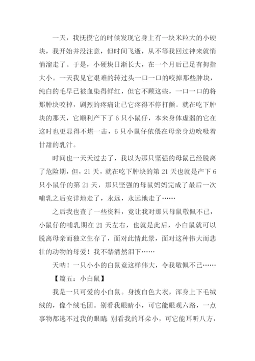 小白鼠作文0.docx