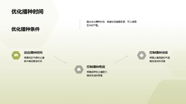 玉米高效种植新纪元