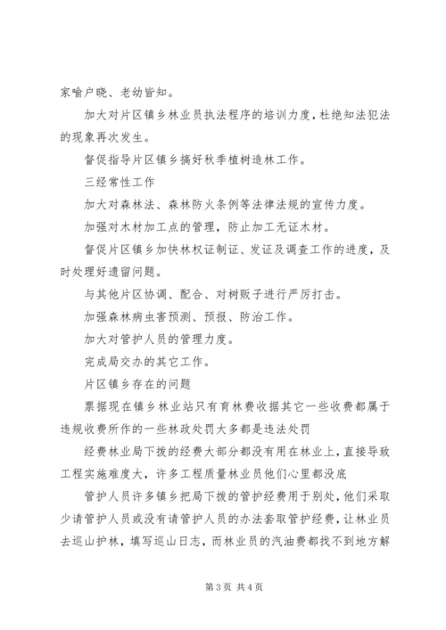 片区林业工作站情况汇报及工作计划 (3).docx