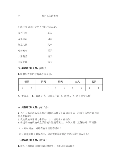 教科版小学二年级上册科学期末测试卷（考点梳理）.docx