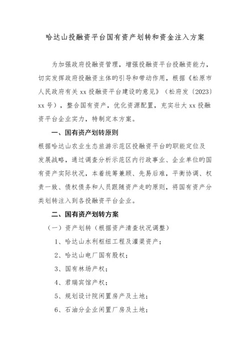 园区投融资平台公司组建方案.docx