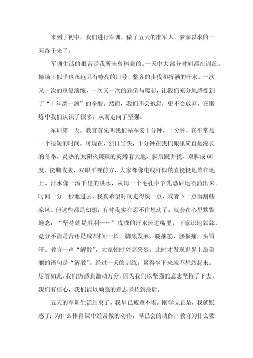 军训训练心得体会 (3).docx