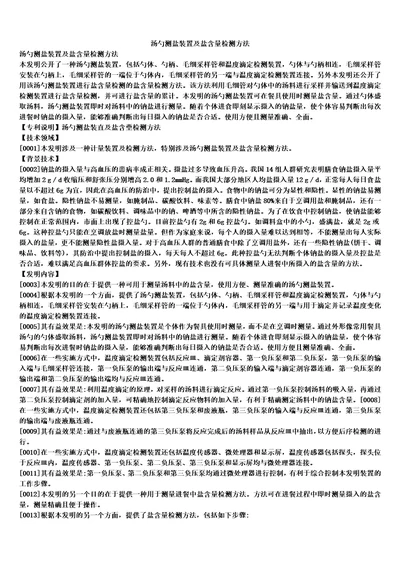 汤勺测盐装置及盐含量检测方法