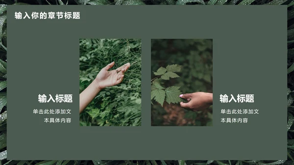 墨绿INS风小清新实景草地教学PPT模板