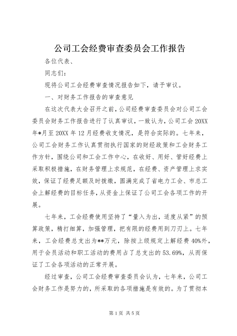 公司工会经费审查委员会工作报告.docx