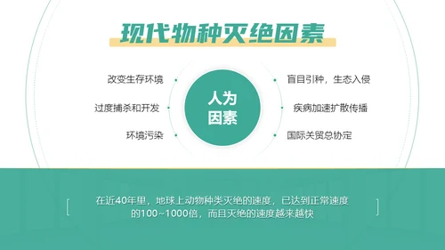 保护野生动物斑马通用PPT模板