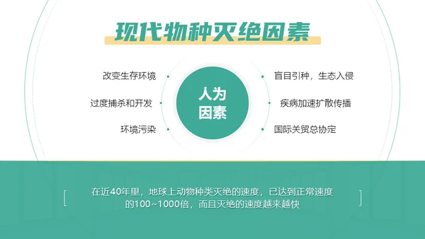 保护野生动物斑马通用PPT模板