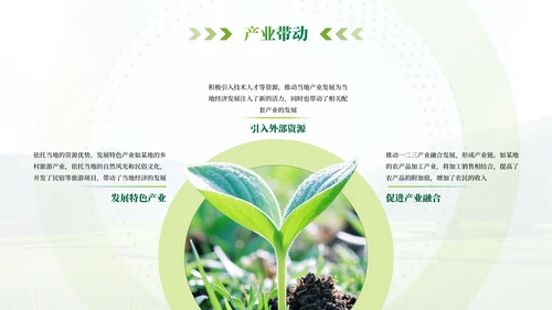 绿色农业乡村项目汇报PPT模板