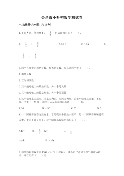 金昌市小升初数学测试卷学生专用.docx