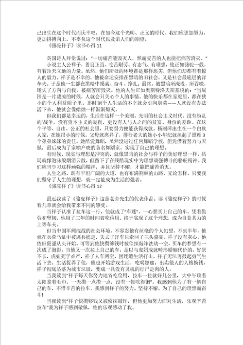 热门骆驼祥子读书心得
