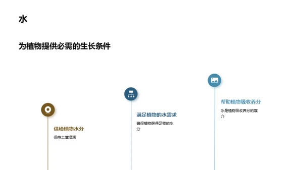 探秘植物成长之旅